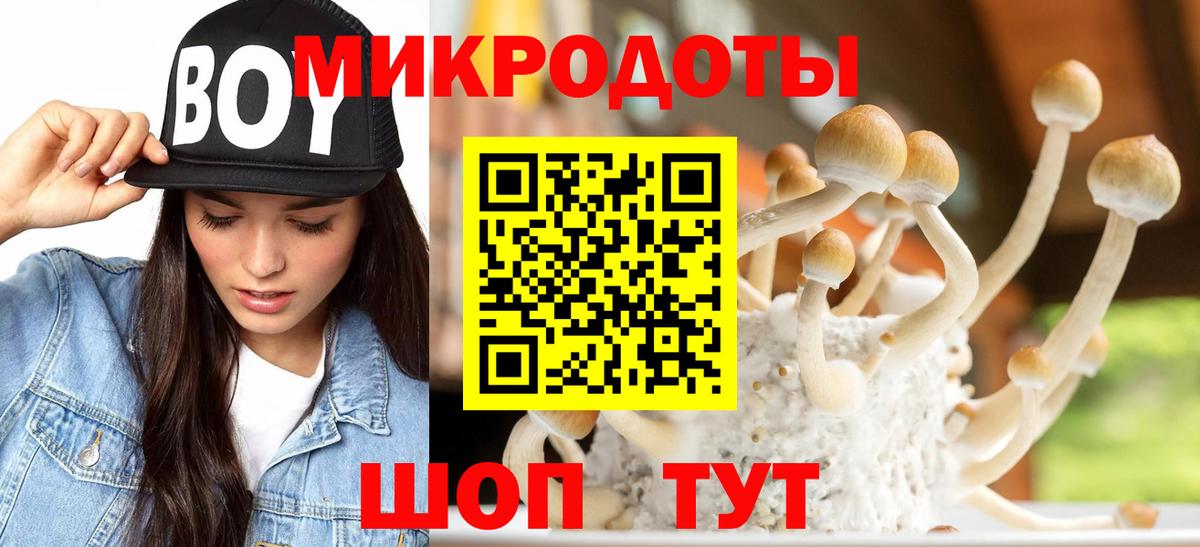 Псилоцибиновые грибы прущие грибы Камень-на-Оби